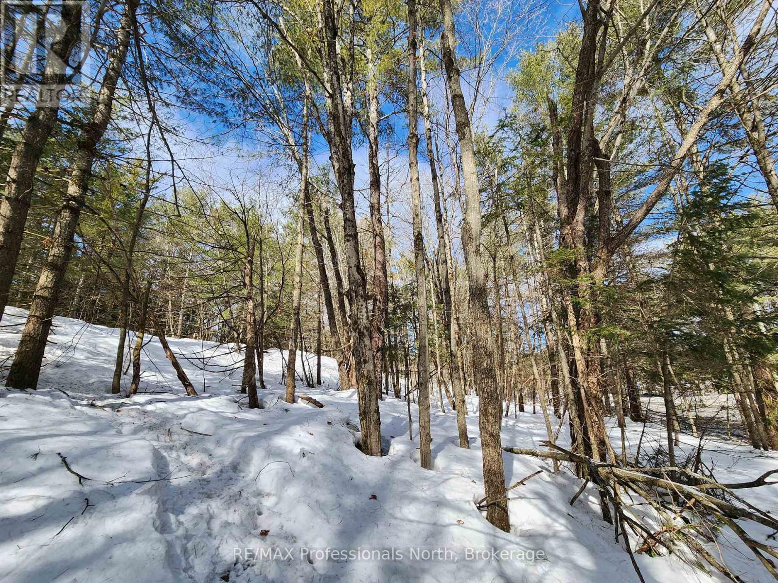 00 Manitoba Street, Bracebridge, Ontario  P1L 1W9 - Photo 11 - X12884116