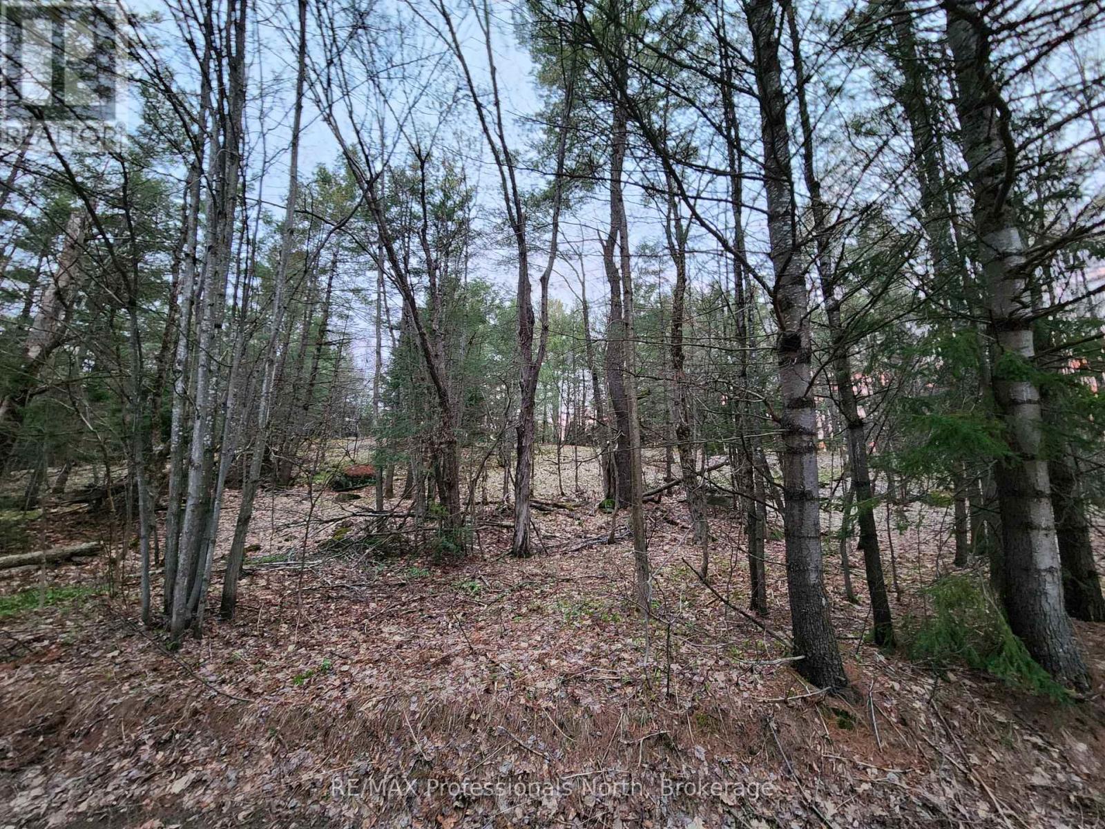 00 Manitoba Street, Bracebridge, Ontario  P1L 1W9 - Photo 14 - X12884116