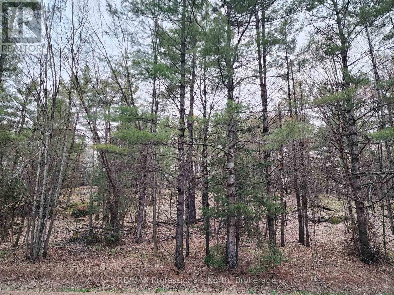 00 Manitoba Street, Bracebridge, Ontario  P1L 1W9 - Photo 16 - X12884116