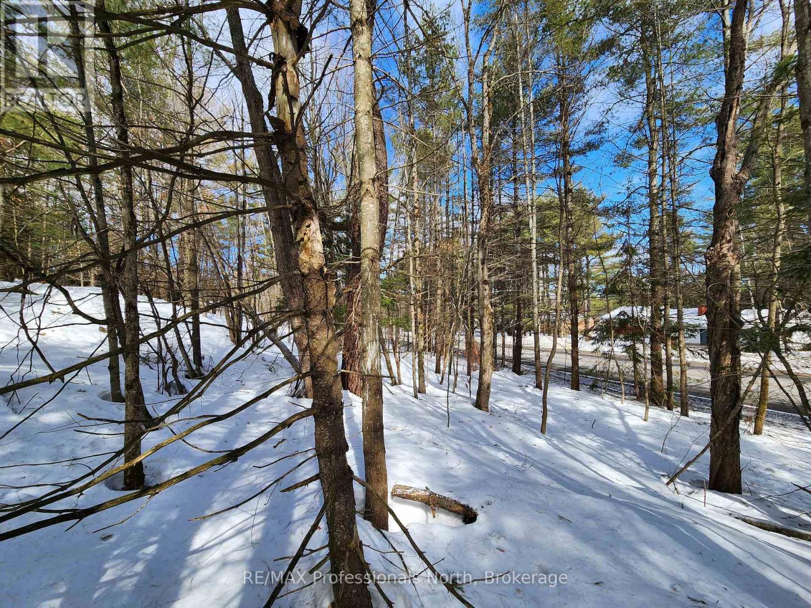 00 Manitoba Street, Bracebridge, Ontario  P1L 1W9 - Photo 5 - X12884116