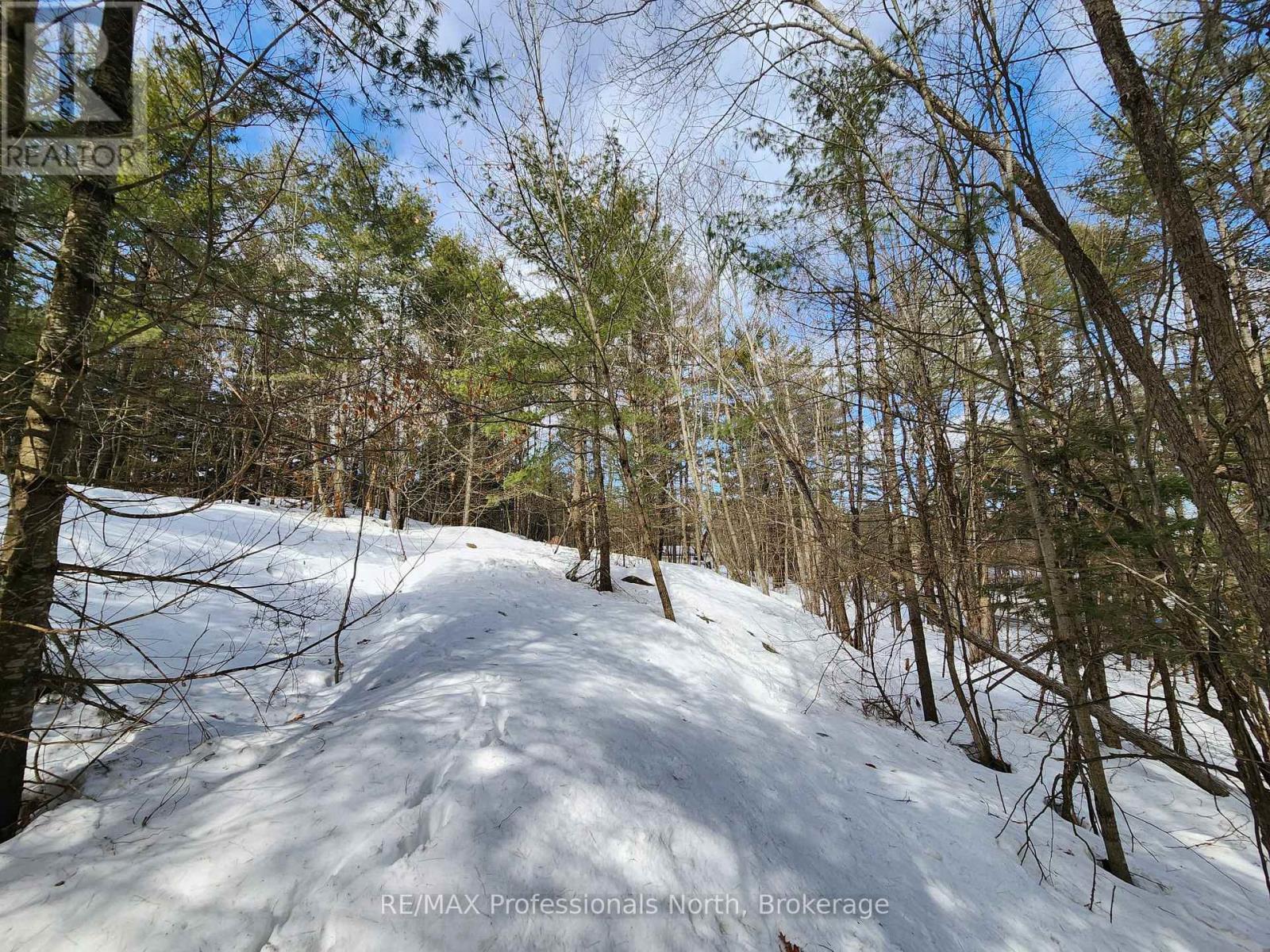 00 Manitoba Street, Bracebridge, Ontario  P1L 1W9 - Photo 8 - X12884116