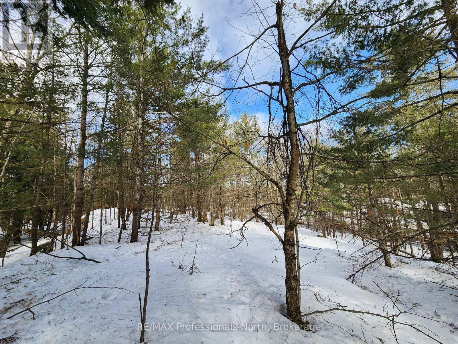 00 Manitoba Street, Bracebridge, Ontario  P1L 1W9 - Photo 9 - X12884116