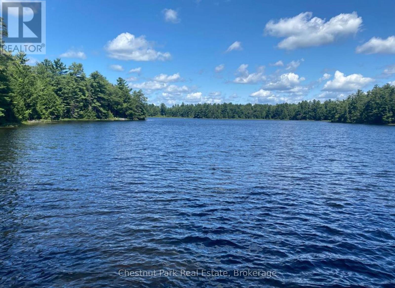 101 Emerald Hill Court S, Seguin, Ontario  P2A 2W8 - Photo 20 - X12889478