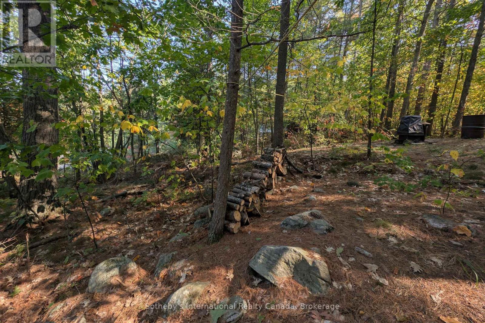 7128 Go Home Lake Shr, Georgian Bay, Ontario  L0K 1S0 - Photo 21 - X12890210