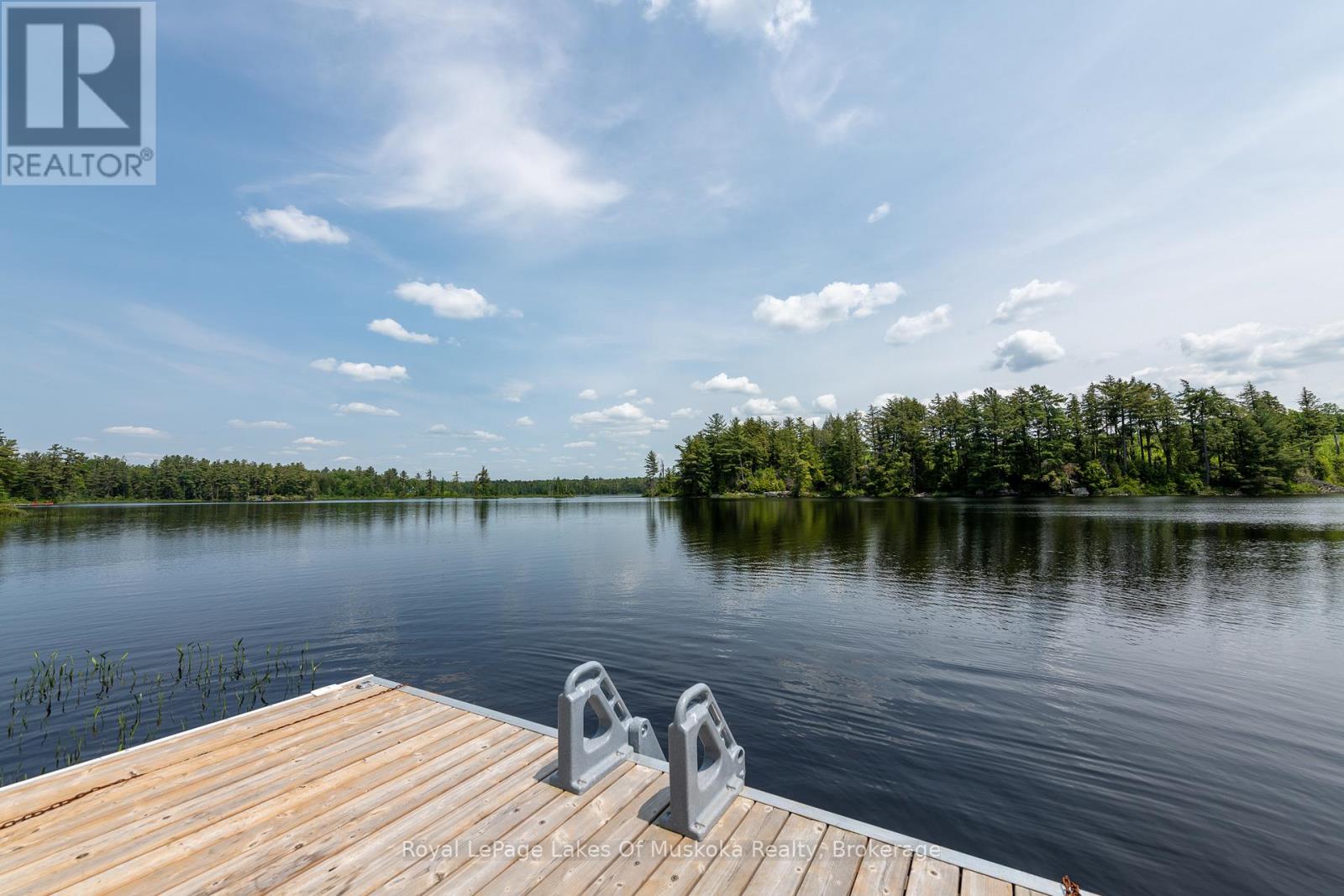 1420 Limberlost Road, Lake Of Bays, Ontario  P1H 2J6 - Photo 3 - X12890232