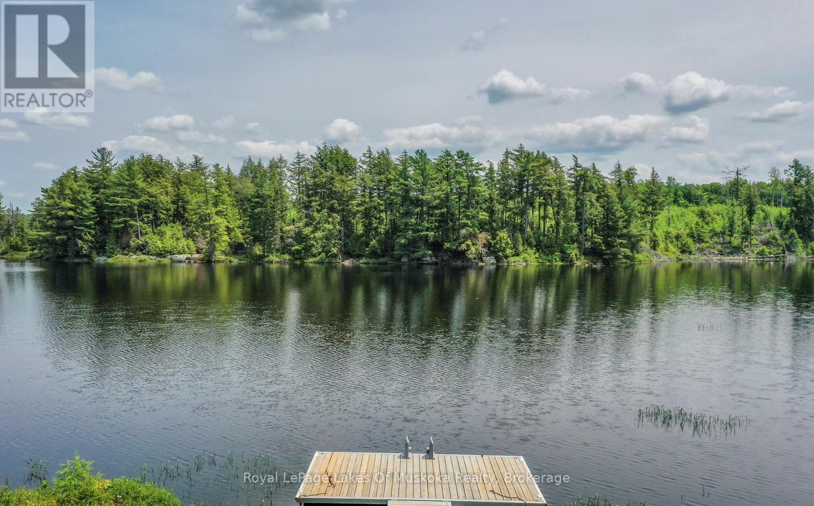 1420 Limberlost Road, Lake Of Bays, Ontario  P1H 2J6 - Photo 37 - X12890232