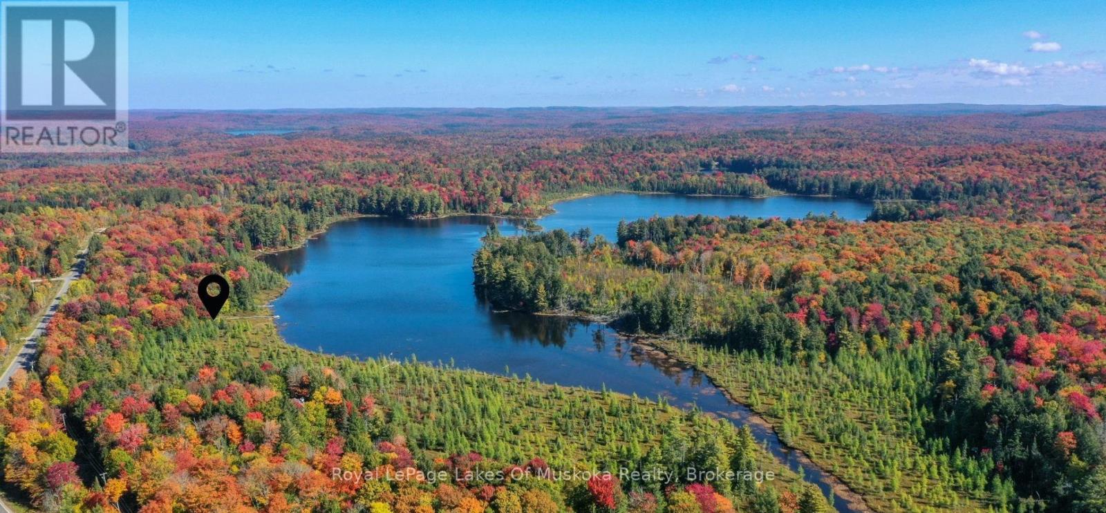 1420 Limberlost Road, Lake Of Bays, Ontario  P1H 2J6 - Photo 4 - X12890232