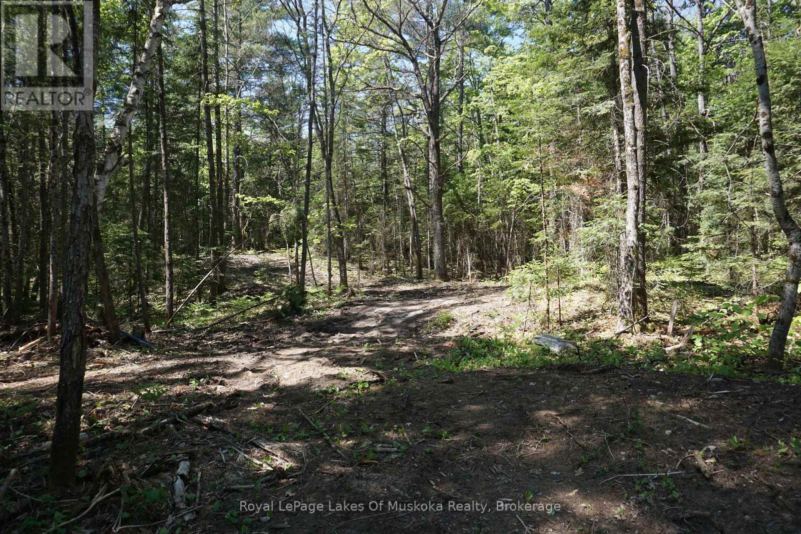 Lot 1 Fairy Falls Road Nw, Lake Of Bays, Ontario  P0B 1A0 - Photo 3 - X12891592