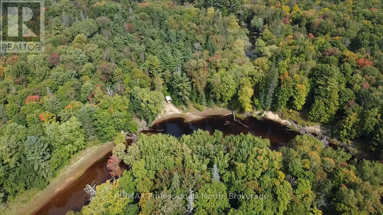 304 Old North Road N, Huntsville, Ontario  P1H 2J4 - Photo 11 - X12897164