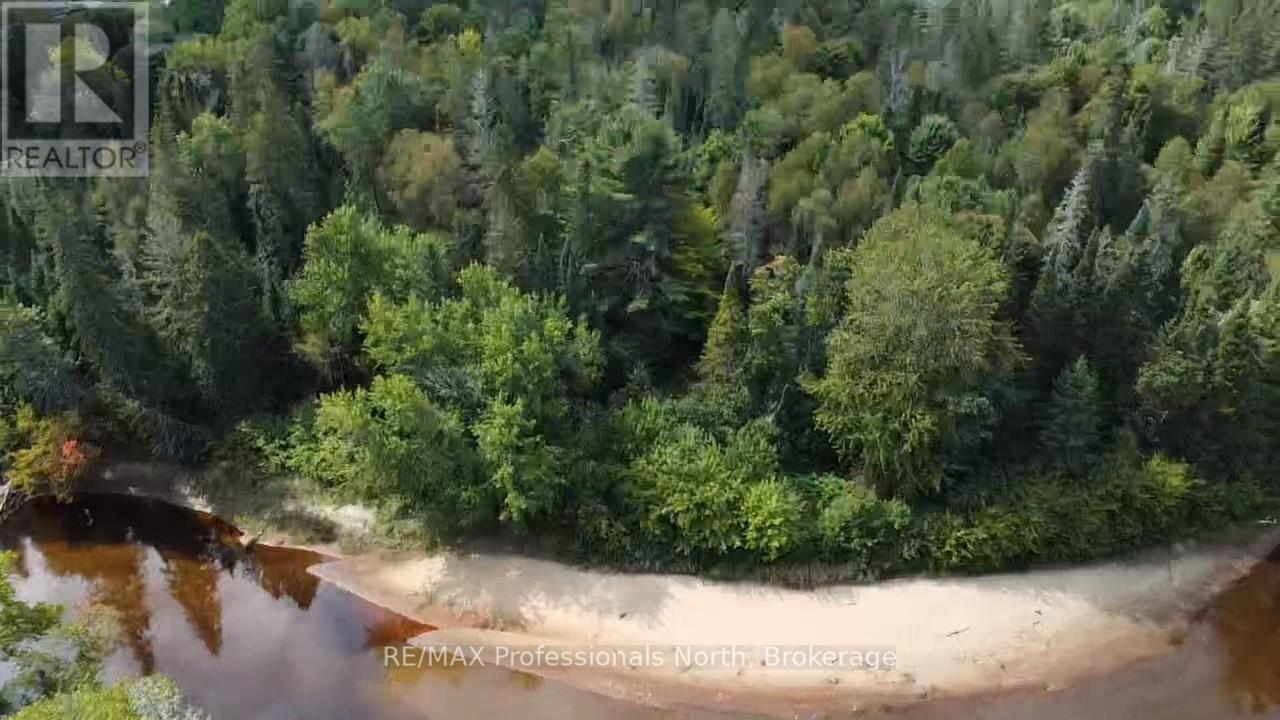 304 Old North Road N, Huntsville, Ontario  P1H 2J4 - Photo 12 - X12897164