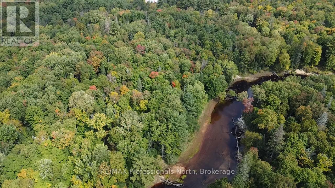 304 Old North Road N, Huntsville, Ontario  P1H 2J4 - Photo 13 - X12897164