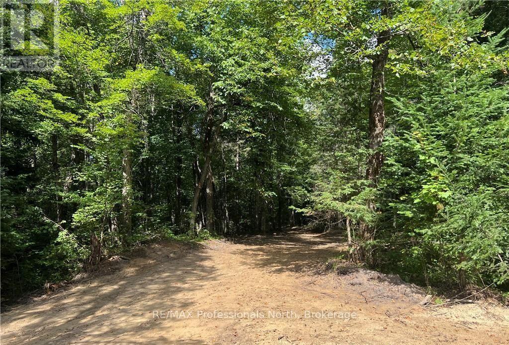 304 Old North Road N, Huntsville, Ontario  P1H 2J4 - Photo 18 - X12897164