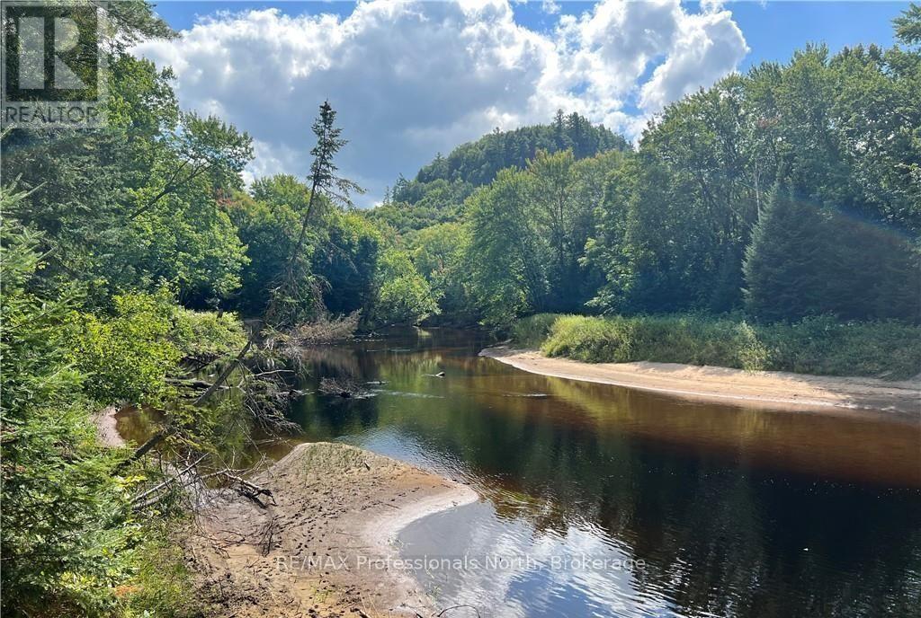 304 Old North Road N, Huntsville, Ontario  P1H 2J4 - Photo 19 - X12897164