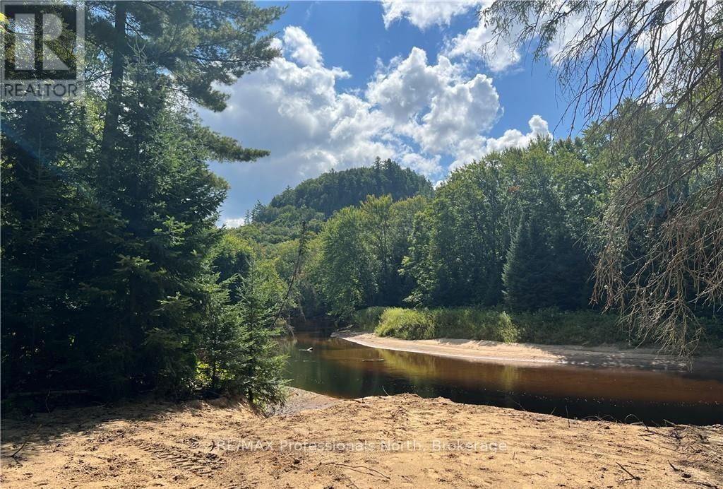 304 Old North Road N, Huntsville, Ontario  P1H 2J4 - Photo 21 - X12897164