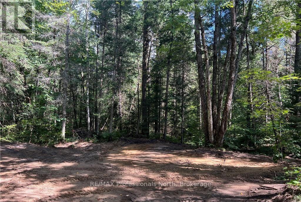 304 Old North Road N, Huntsville, Ontario  P1H 2J4 - Photo 22 - X12897164