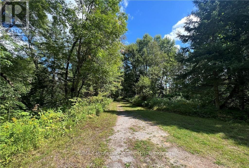 304 Old North Road N, Huntsville, Ontario  P1H 2J4 - Photo 24 - X12897164