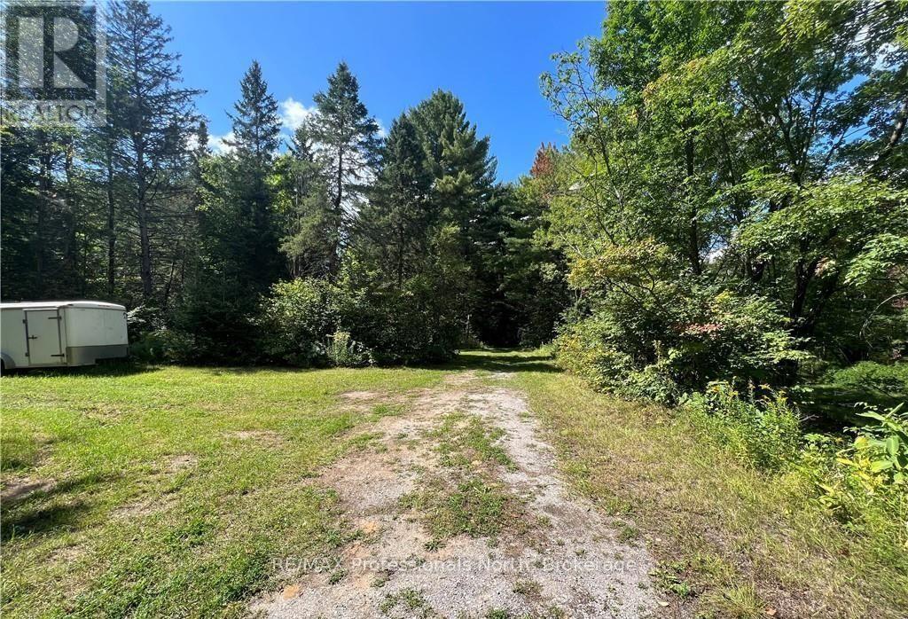 304 Old North Road N, Huntsville, Ontario  P1H 2J4 - Photo 7 - X12897164
