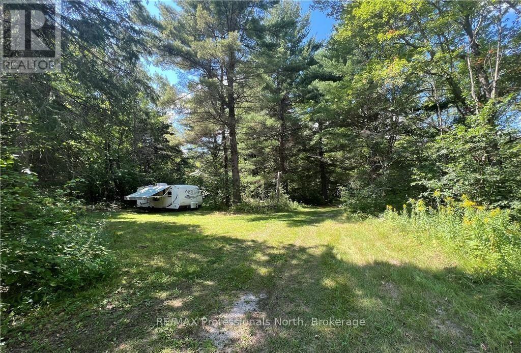 304 Old North Road N, Huntsville, Ontario  P1H 2J4 - Photo 8 - X12897164