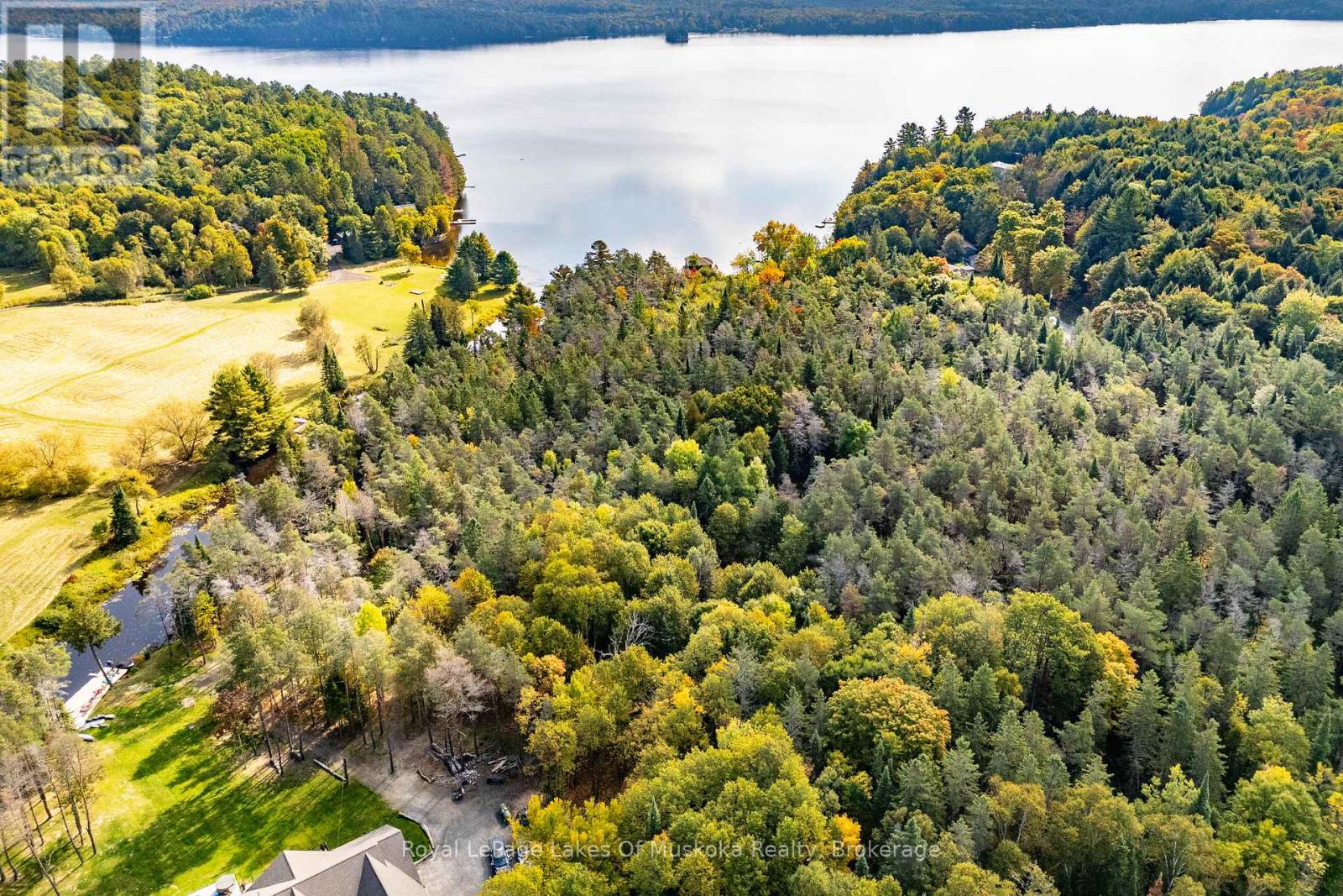 461 Rowanwood Road, Huntsville, Ontario  P0B 1M0 - Photo 40 - X12899484