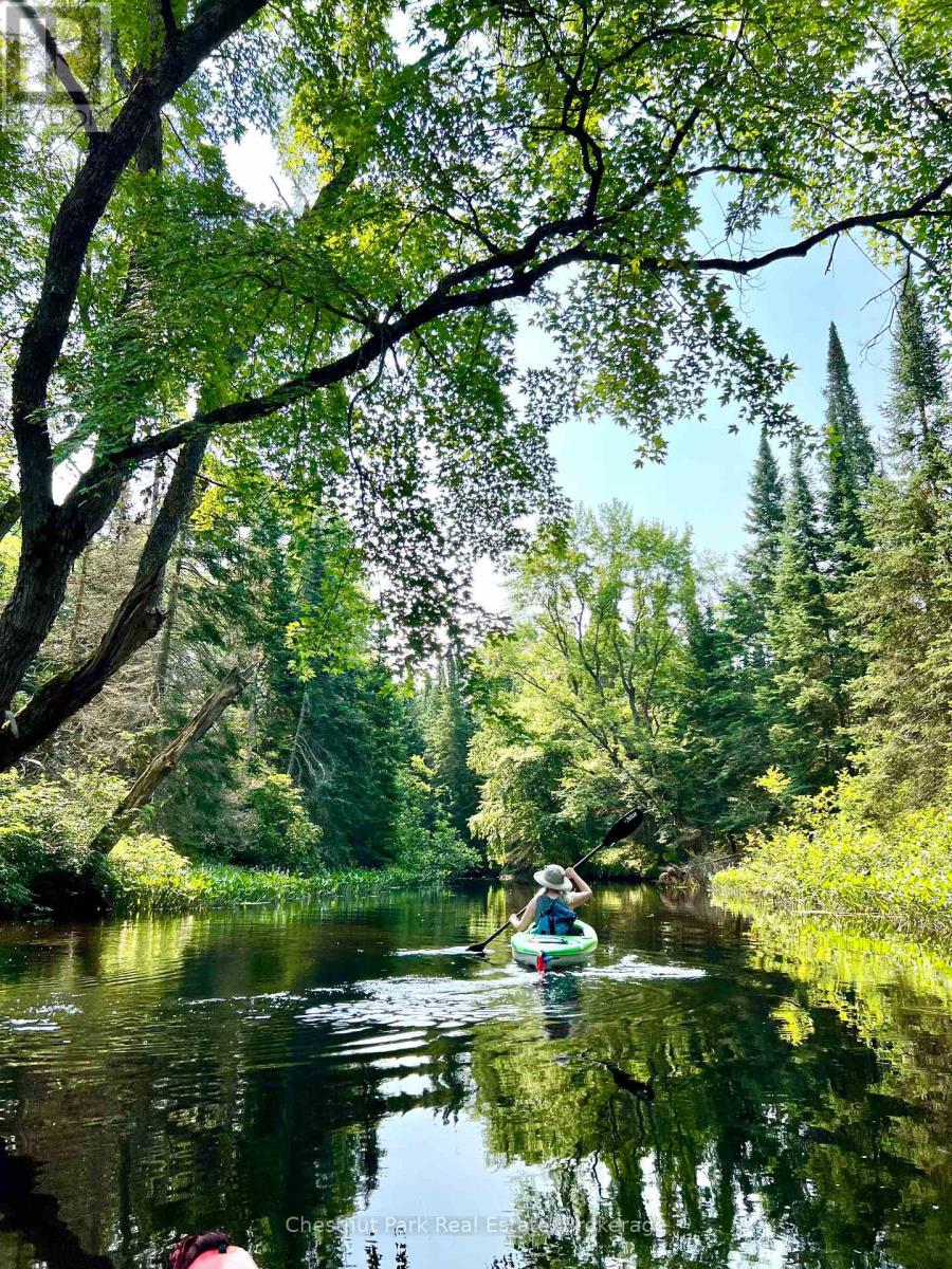 Lot 78 141 Highway, Seguin, Ontario  P0C 1J0 - Photo 12 - X12902062