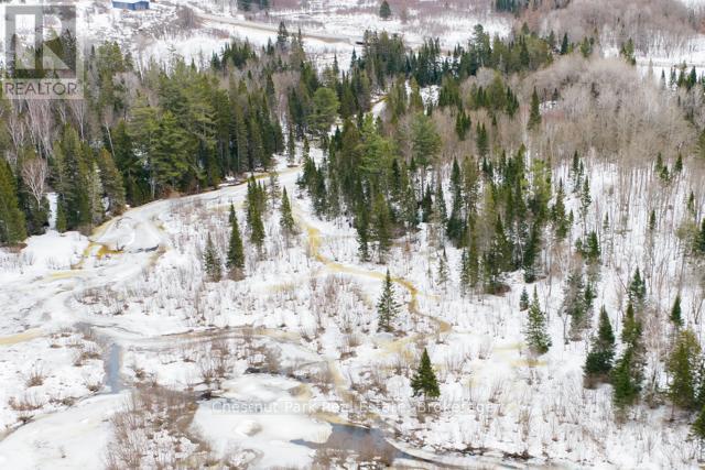 Lot 78 141 Highway, Seguin, Ontario  P0C 1J0 - Photo 15 - X12902062