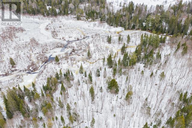 Lot 78 141 Highway, Seguin, Ontario  P0C 1J0 - Photo 16 - X12902062