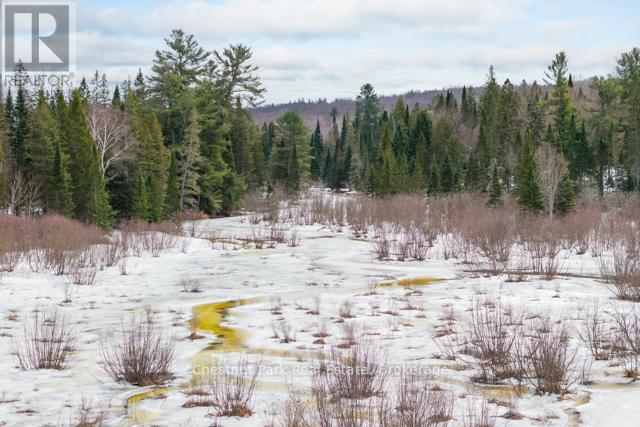 Lot 78 141 Highway, Seguin, Ontario  P0C 1J0 - Photo 24 - X12902062