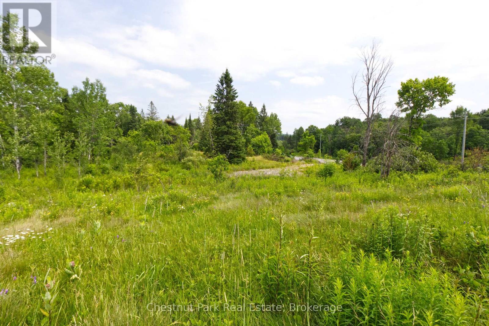 Lot 78 141 Highway, Seguin, Ontario  P0C 1J0 - Photo 4 - X12902062