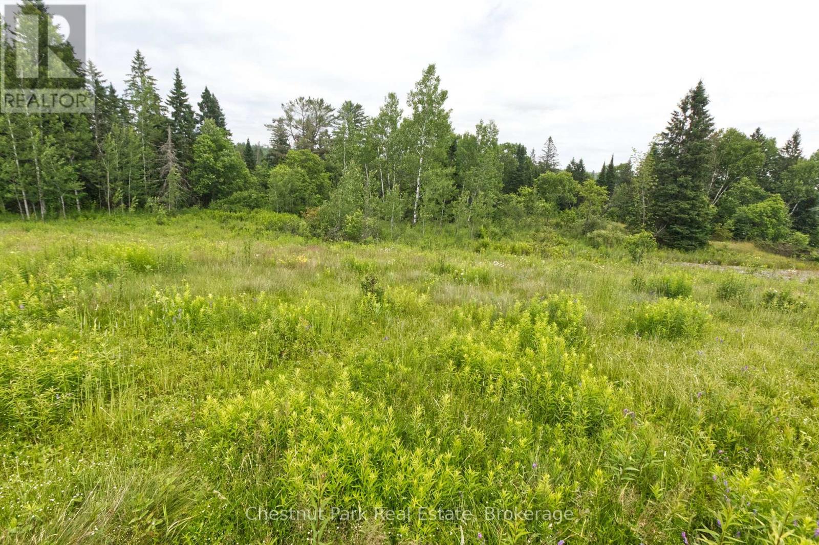 Lot 78 141 Highway, Seguin, Ontario  P0C 1J0 - Photo 5 - X12902062