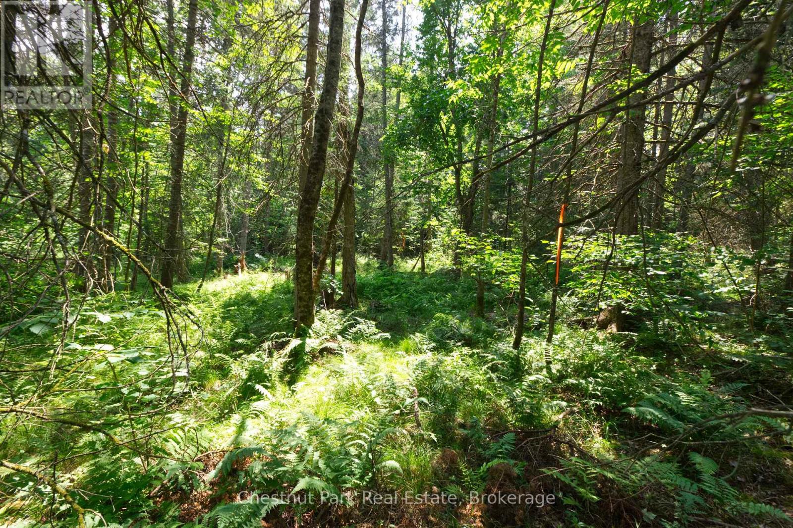 Lot 78 141 Highway, Seguin, Ontario  P0C 1J0 - Photo 7 - X12902062