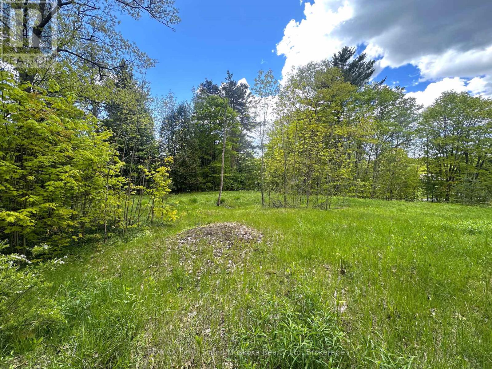 22a Lock Street, Seguin, Ontario  P0C 1J0 - Photo 1 - X12907554