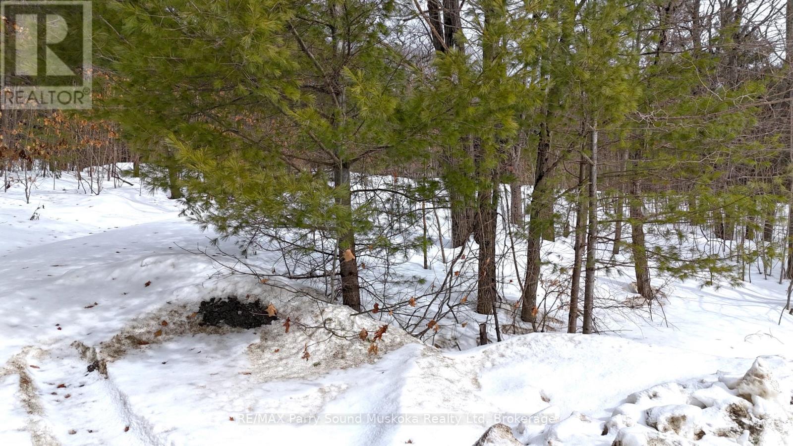 22a Lock Street, Seguin, Ontario  P0C 1J0 - Photo 12 - X12907554