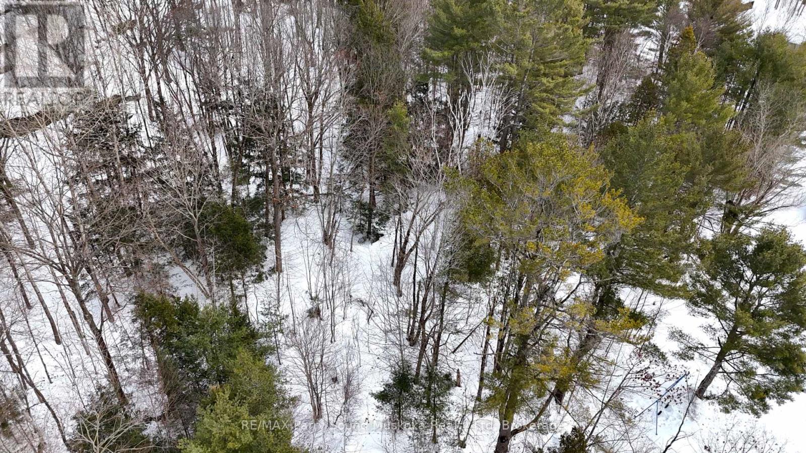 22a Lock Street, Seguin, Ontario  P0C 1J0 - Photo 15 - X12907554