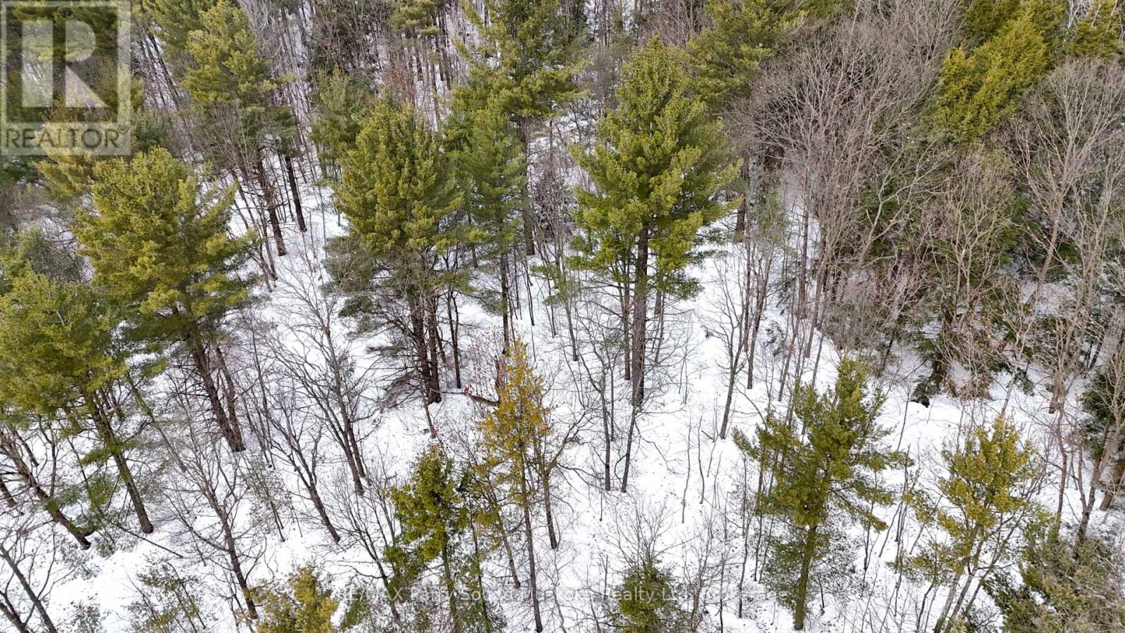 22a Lock Street, Seguin, Ontario  P0C 1J0 - Photo 16 - X12907554