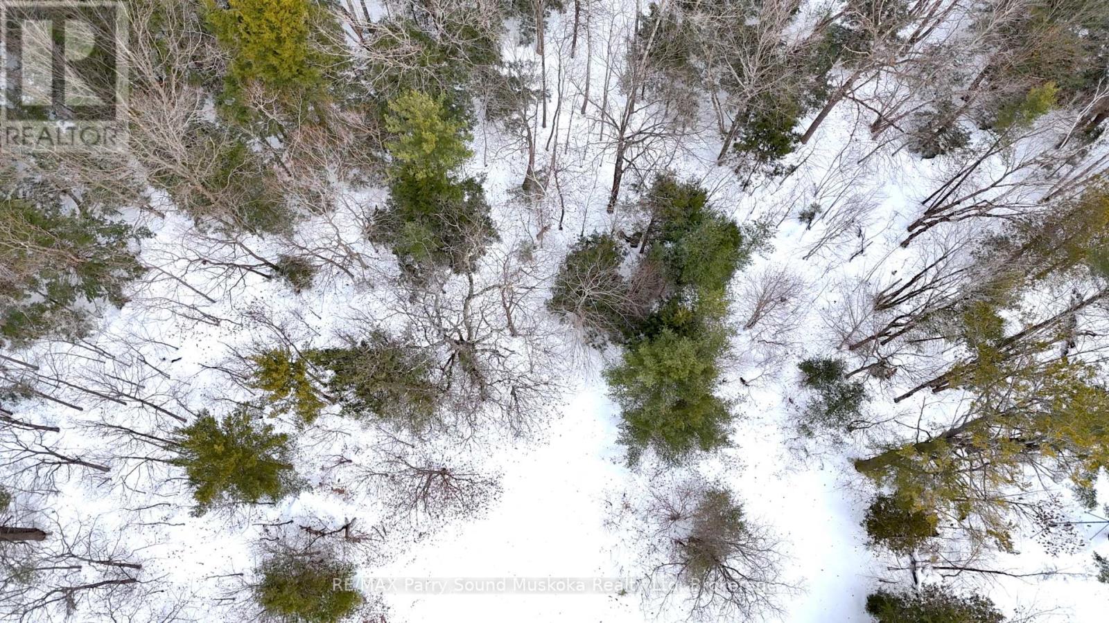 22a Lock Street, Seguin, Ontario  P0C 1J0 - Photo 19 - X12907554