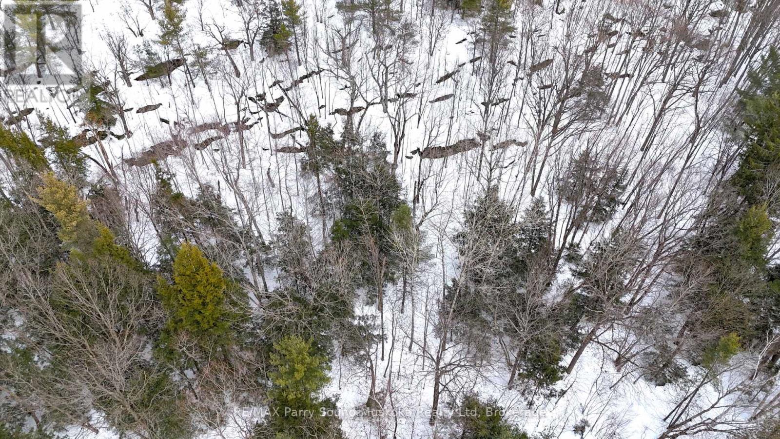 22a Lock Street, Seguin, Ontario  P0C 1J0 - Photo 20 - X12907554