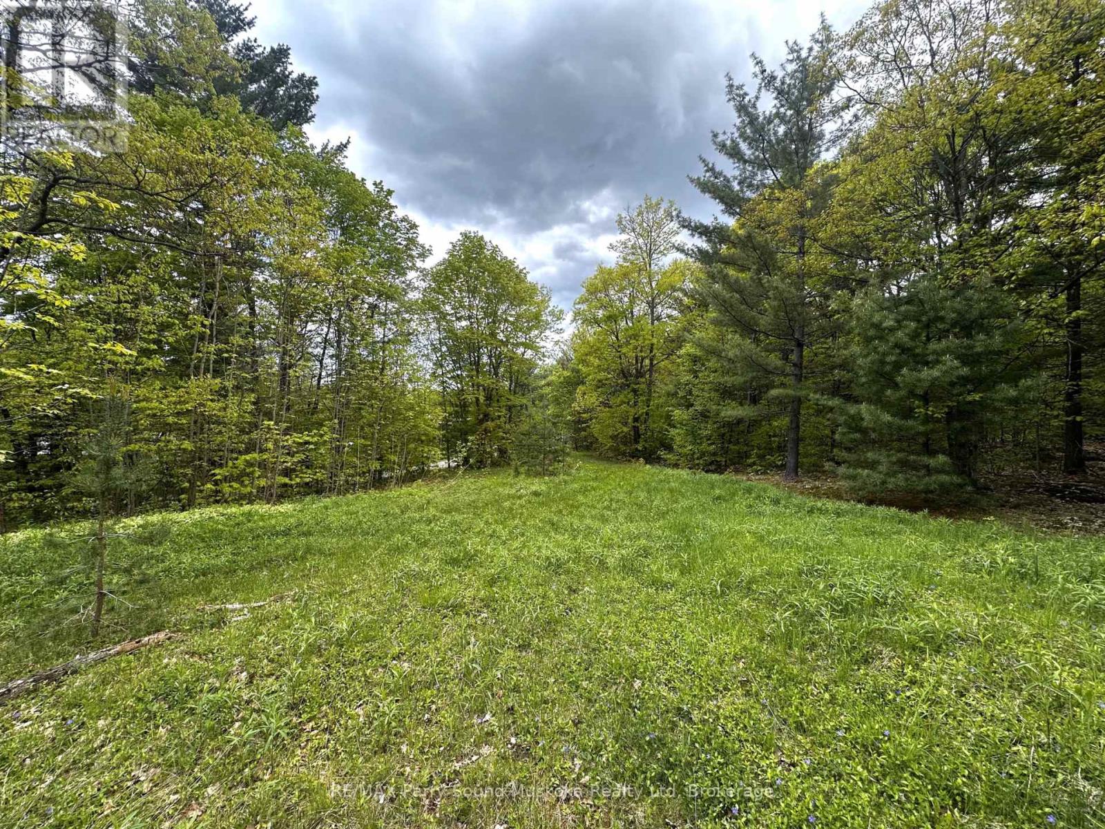 22a Lock Street, Seguin, Ontario  P0C 1J0 - Photo 21 - X12907554