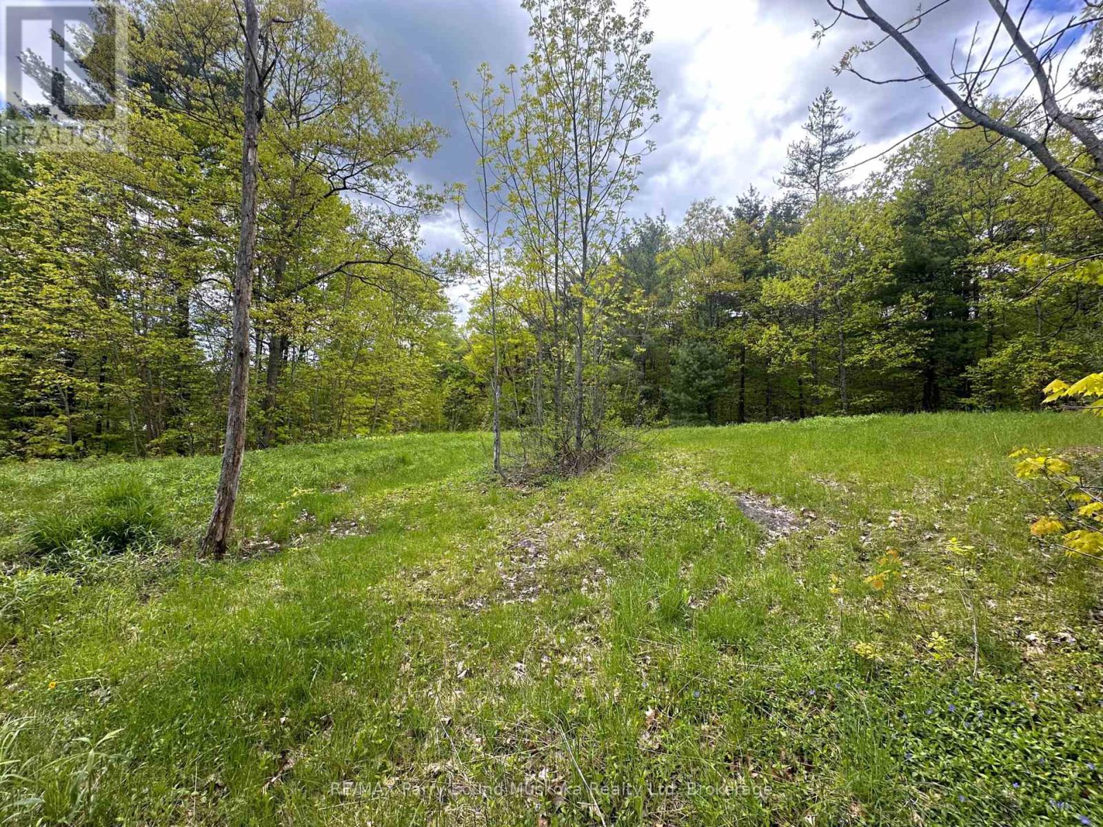 22a Lock Street, Seguin, Ontario  P0C 1J0 - Photo 23 - X12907554