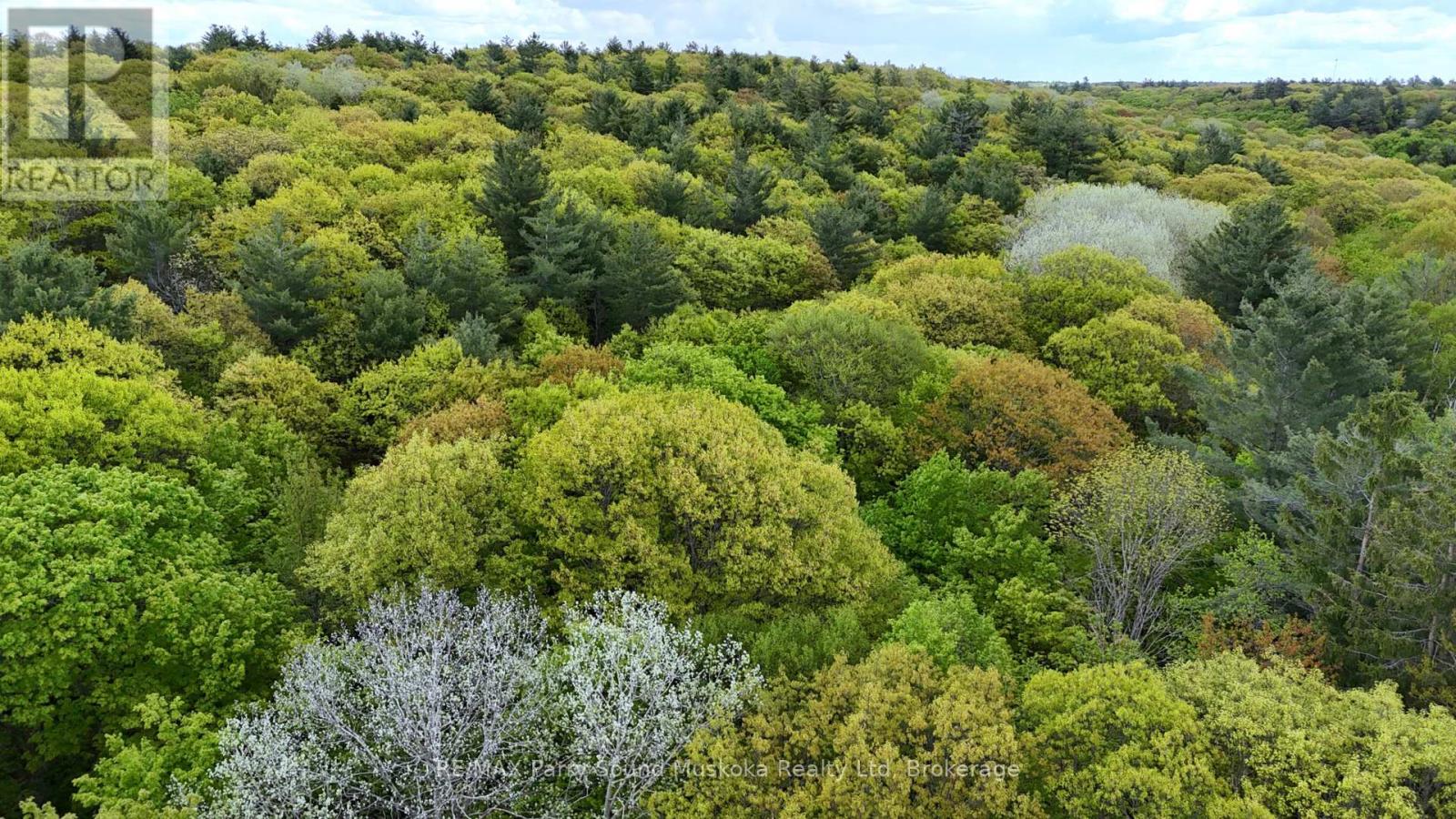 22a Lock Street, Seguin, Ontario  P0C 1J0 - Photo 24 - X12907554