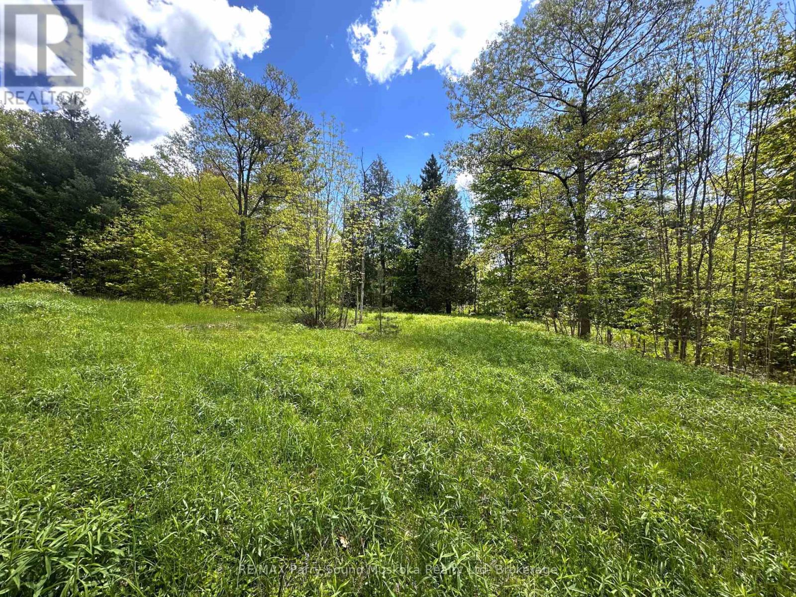 22a Lock Street, Seguin, Ontario  P0C 1J0 - Photo 26 - X12907554