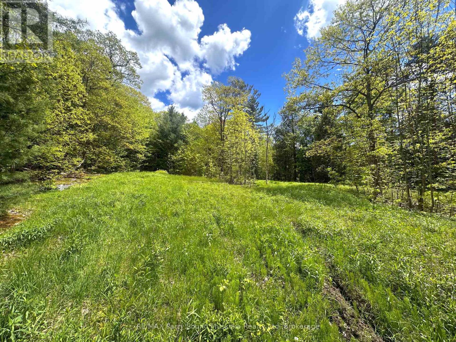 22a Lock Street, Seguin, Ontario  P0C 1J0 - Photo 29 - X12907554