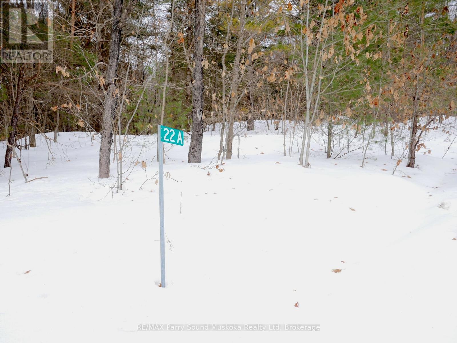 22a Lock Street, Seguin, Ontario  P0C 1J0 - Photo 30 - X12907554