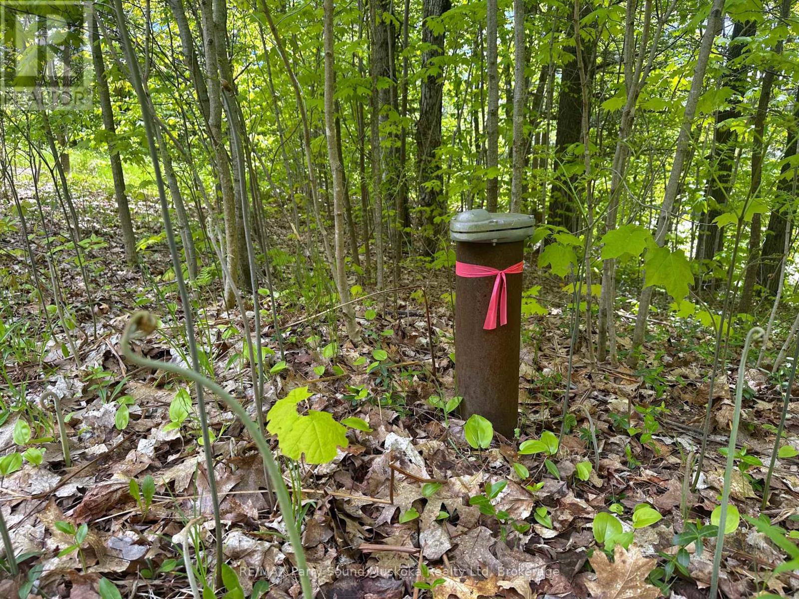 22a Lock Street, Seguin, Ontario  P0C 1J0 - Photo 7 - X12907554