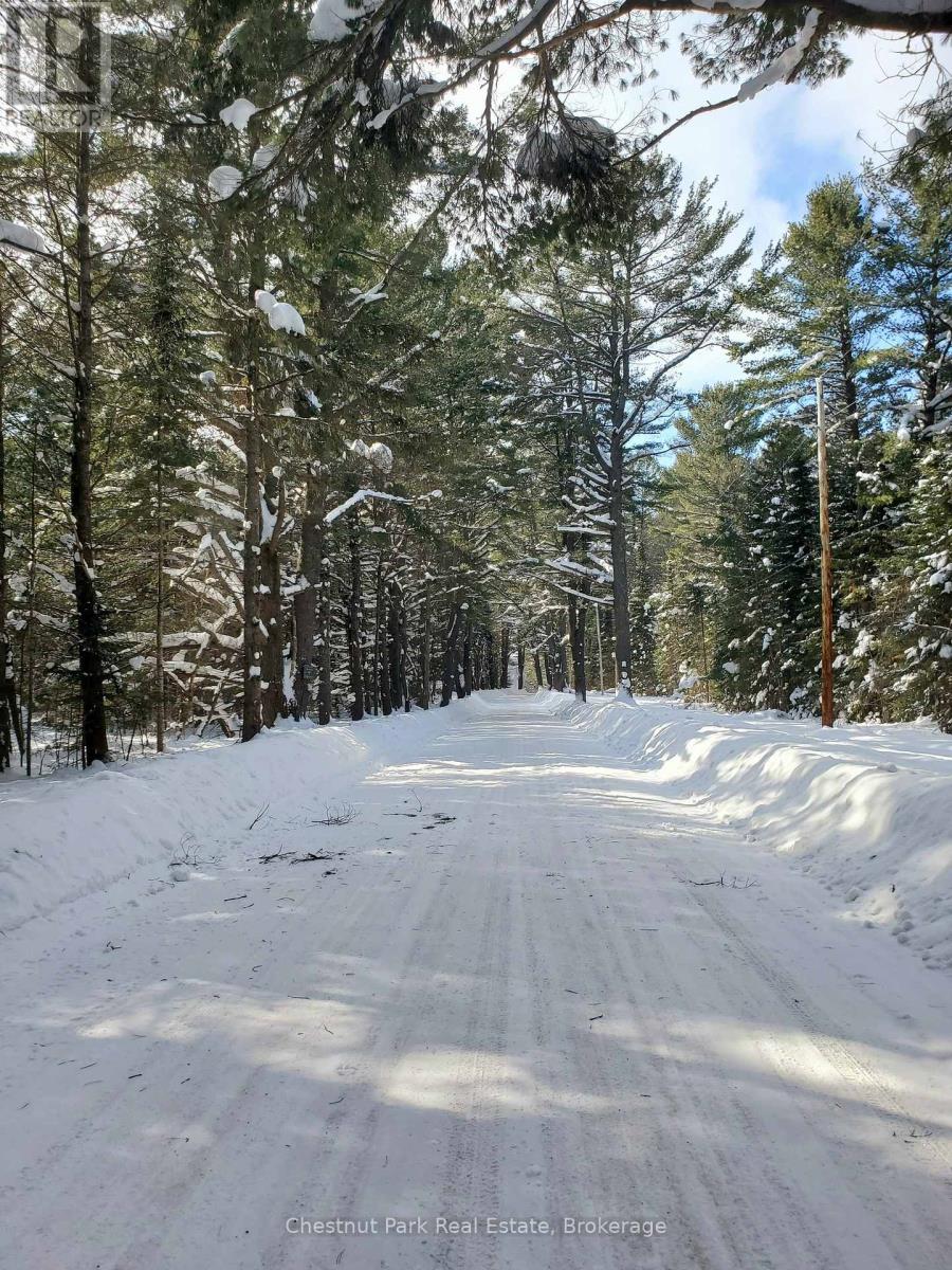 0 Cardwell Lake Road, Huntsville, Ontario  P0B 1M0 - Photo 1 - X12908454