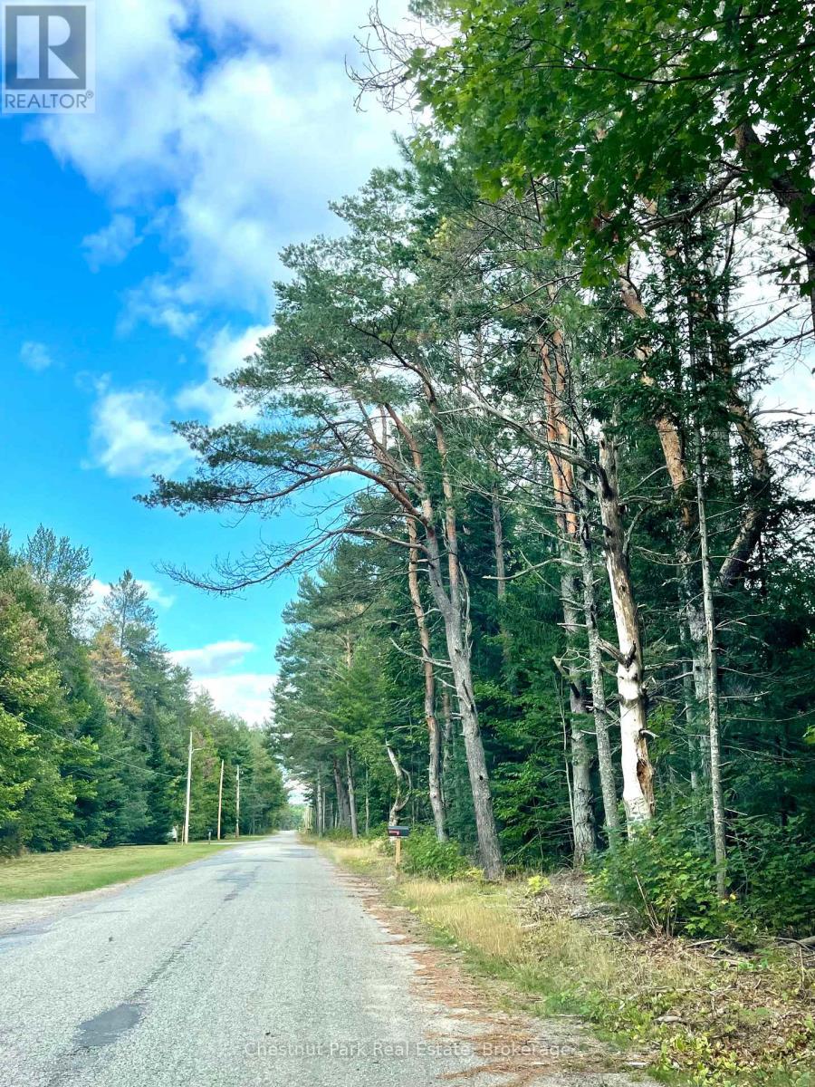 0 Cardwell Lake Road, Huntsville, Ontario  P0B 1M0 - Photo 10 - X12908454