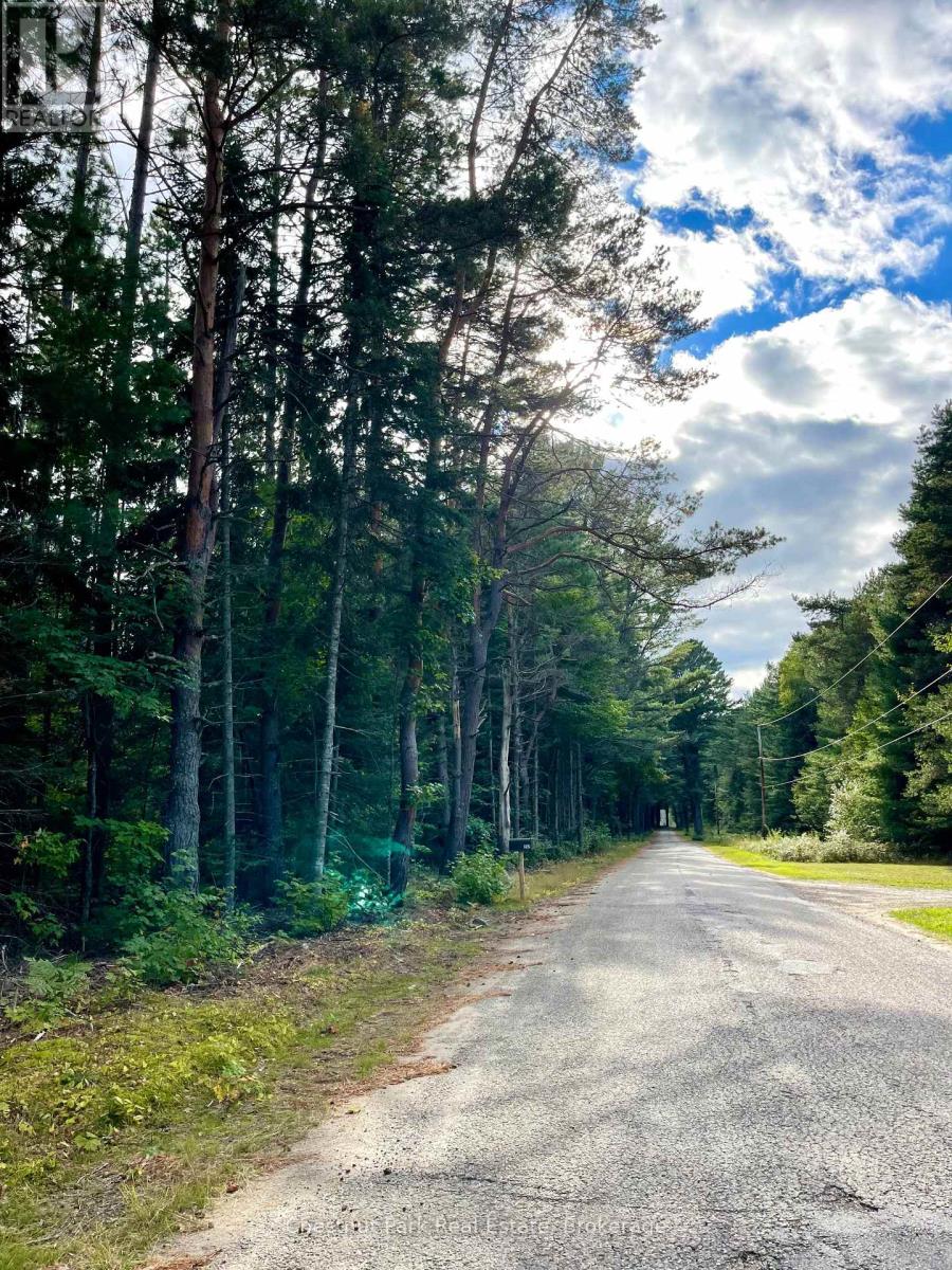 0 Cardwell Lake Road, Huntsville, Ontario  P0B 1M0 - Photo 12 - X12908454