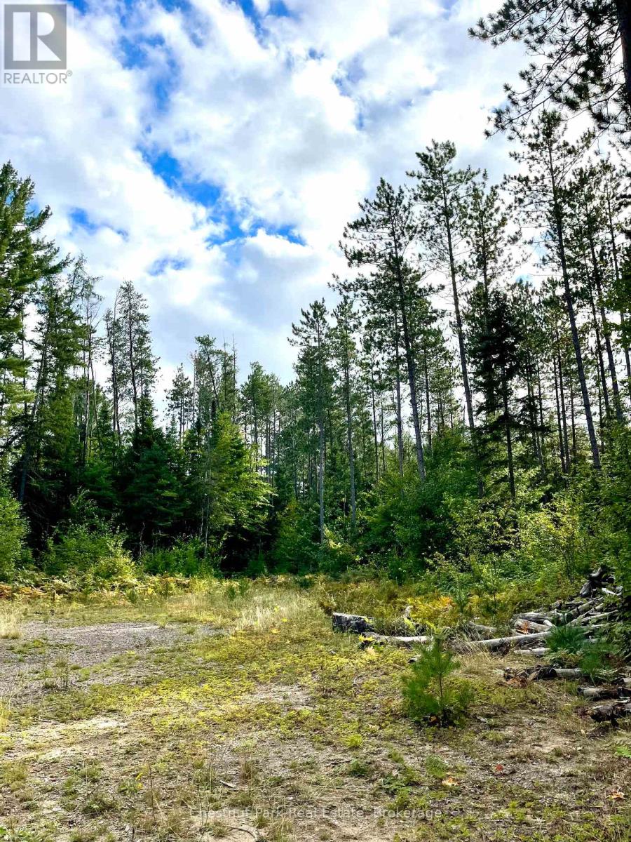 0 Cardwell Lake Road, Huntsville, Ontario  P0B 1M0 - Photo 13 - X12908454