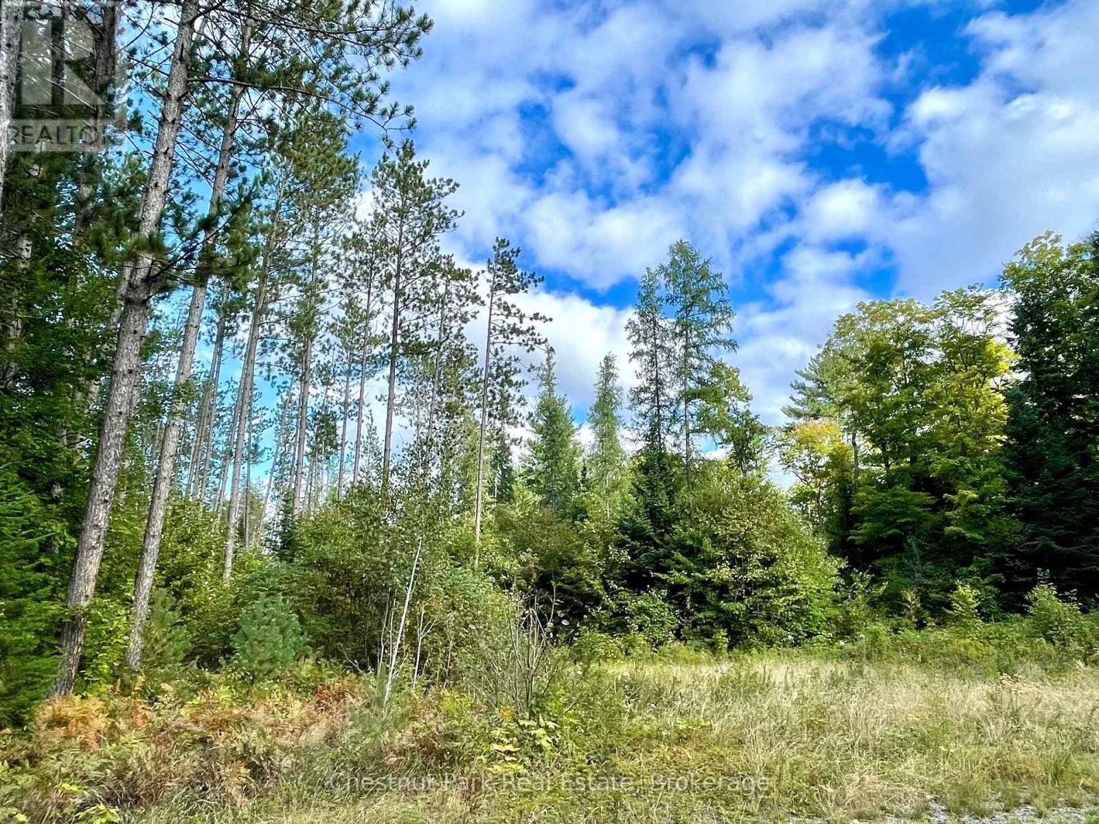 0 Cardwell Lake Road, Huntsville, Ontario  P0B 1M0 - Photo 14 - X12908454