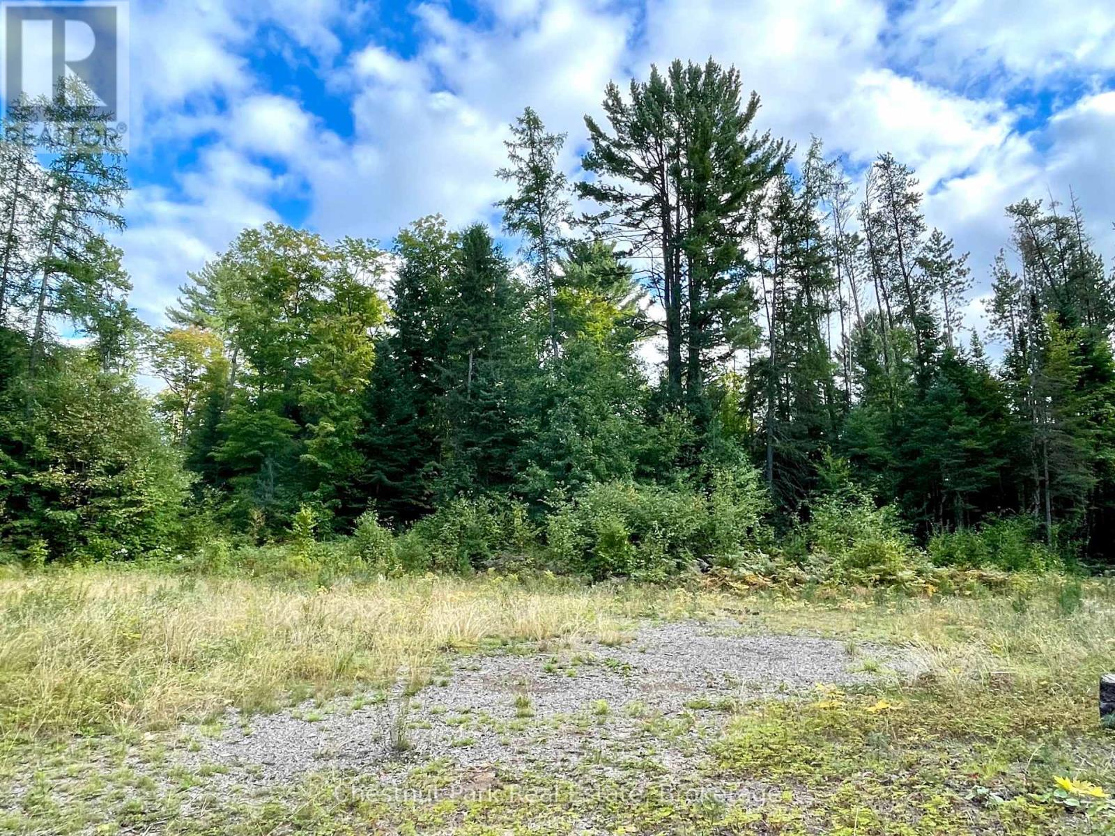 0 Cardwell Lake Road, Huntsville, Ontario  P0B 1M0 - Photo 15 - X12908454