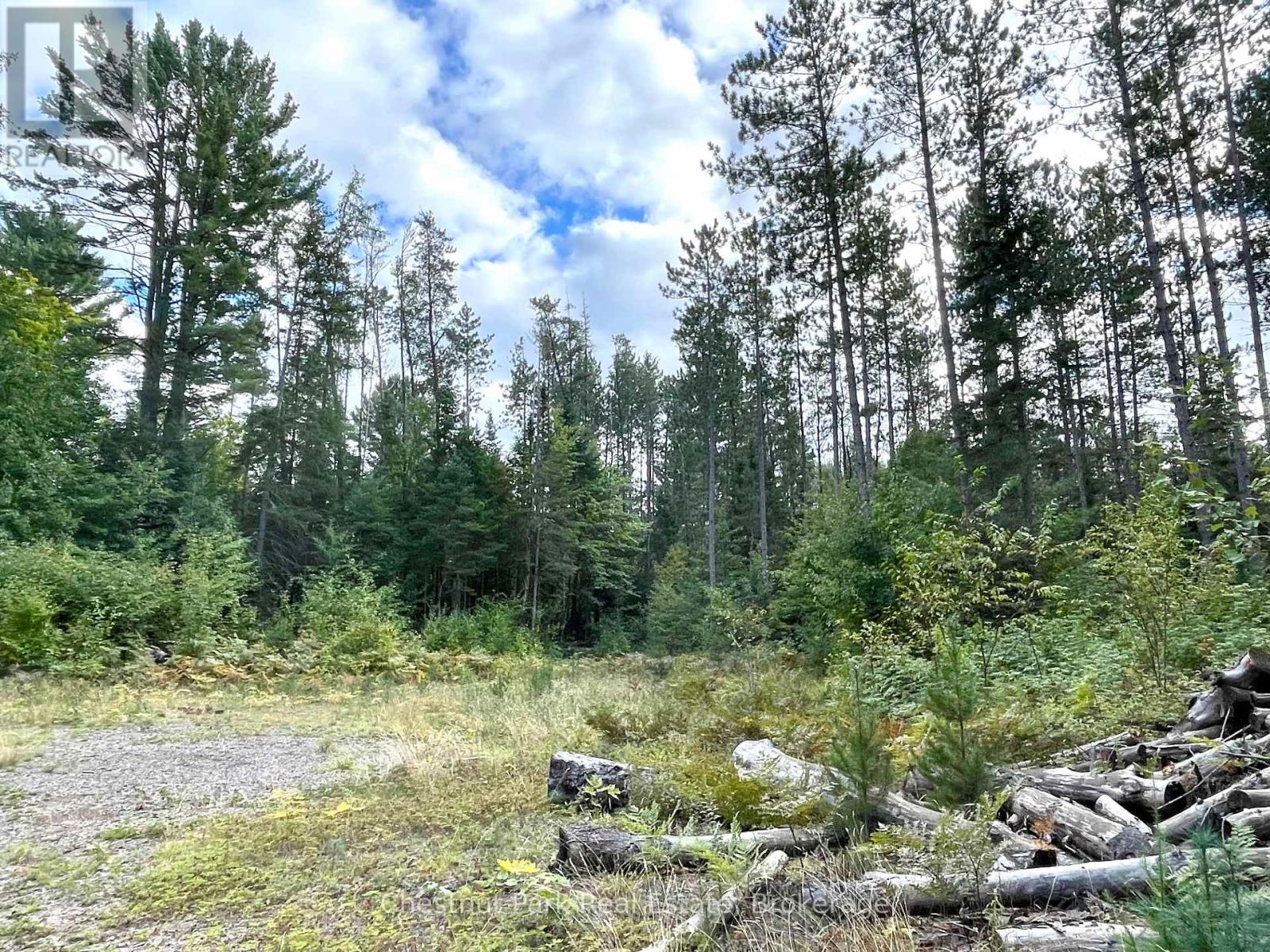 0 Cardwell Lake Road, Huntsville, Ontario  P0B 1M0 - Photo 16 - X12908454